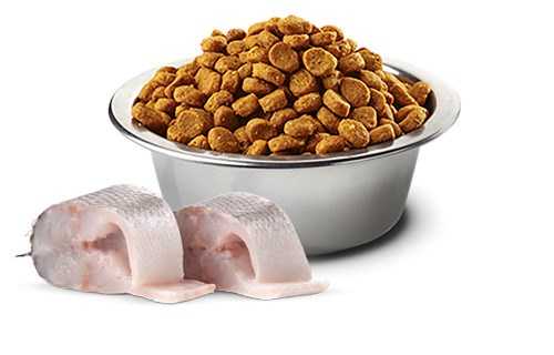 Farmina N AND amp;D Sea Bass, Spirulina and Fennel Adult Mini - dry dog food -