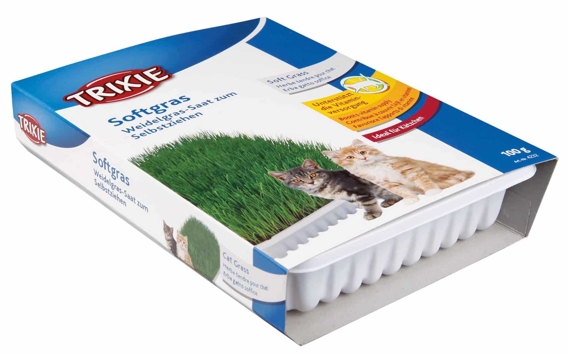 Trixie Bio Cat Grass (bowl) 100g