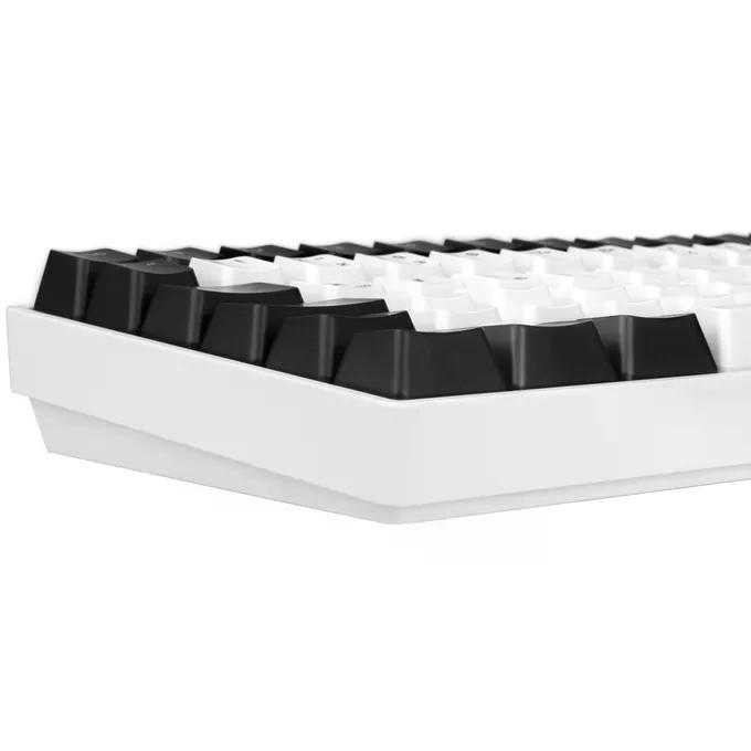 Sharkoon SKILLER SGK50 S3 (white, RU