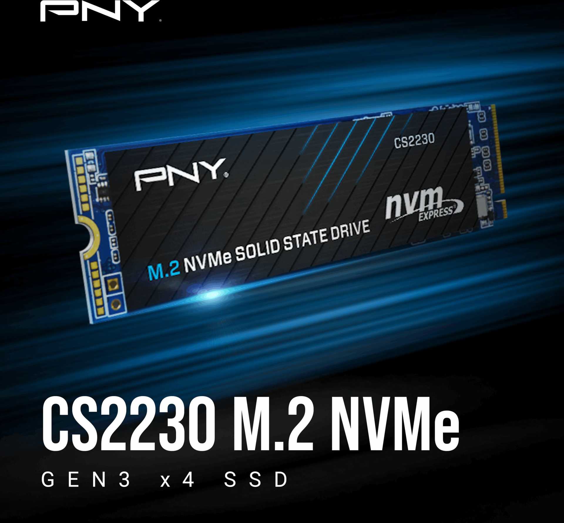 PNY CS2230 500GB M280CS2230-500-RB