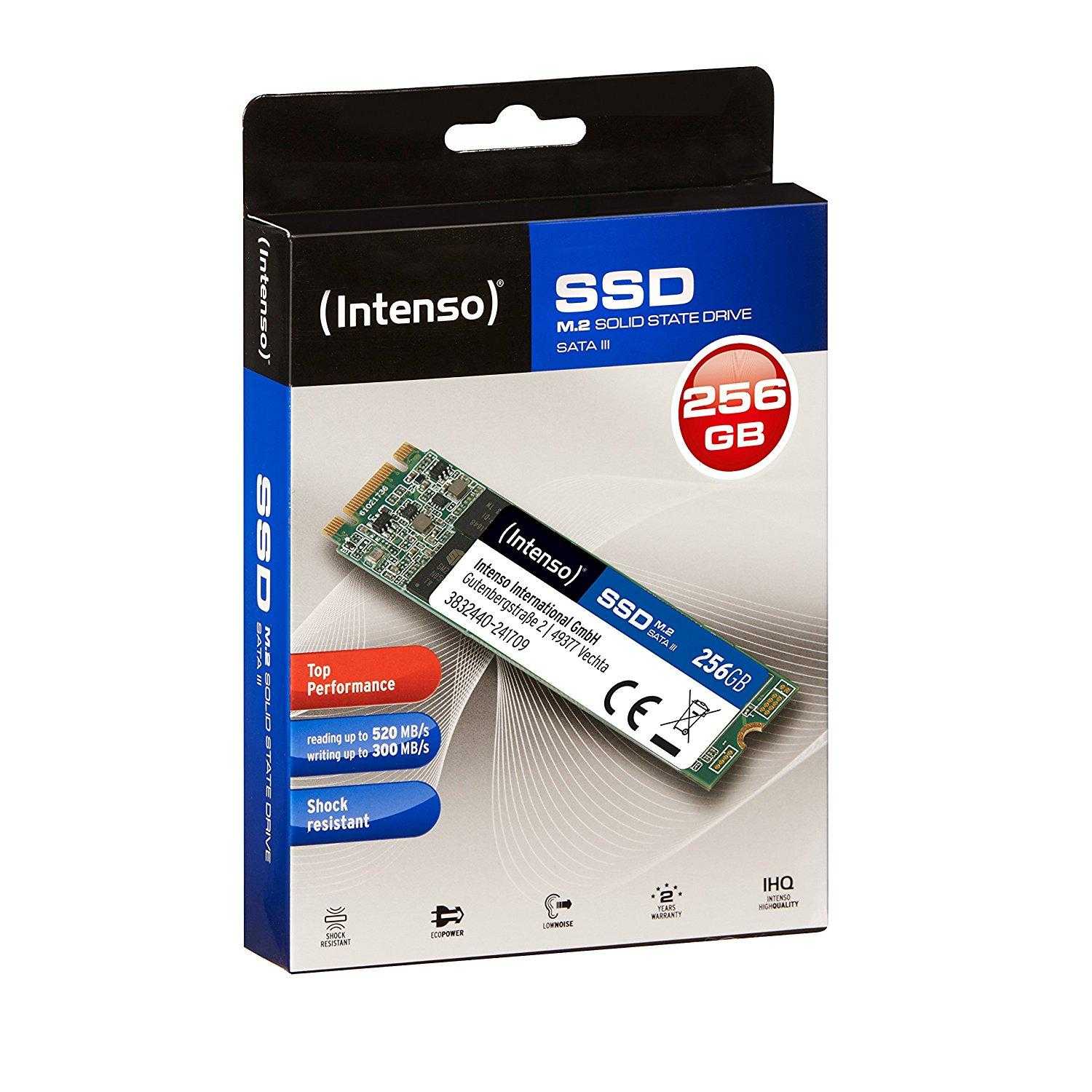 Intenso 256GB M.2 Top
