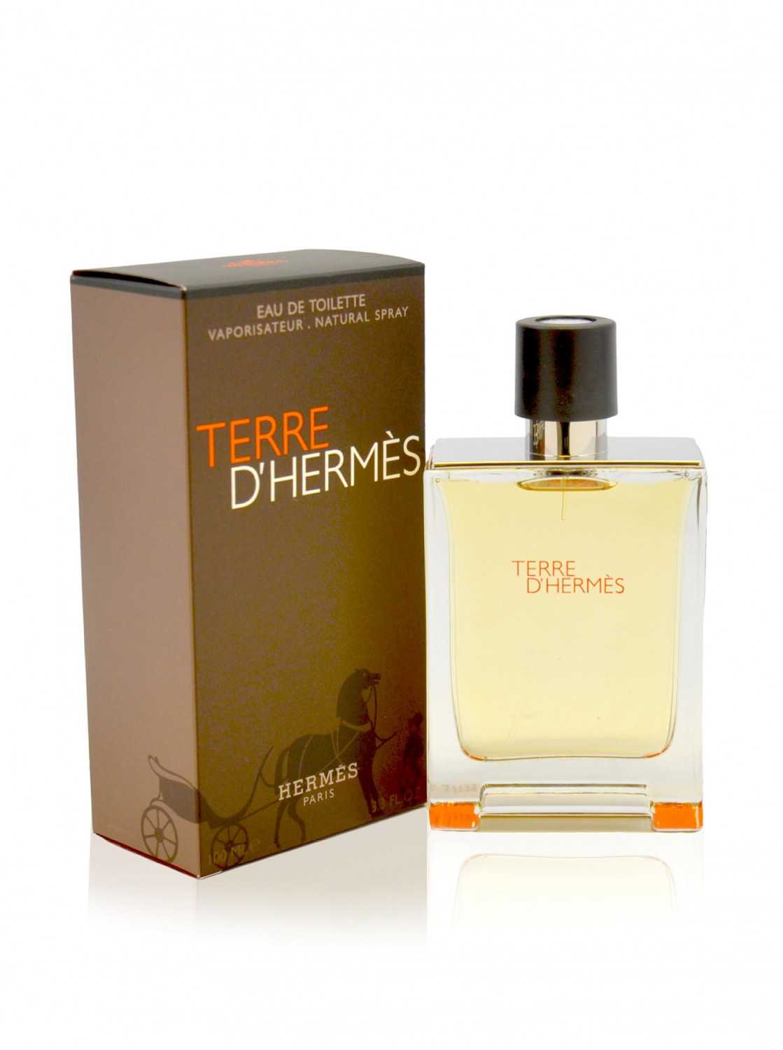 Hermes Terre D EDT 100ml