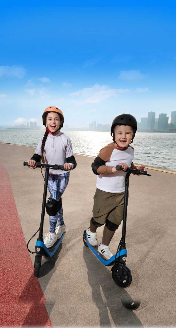 Segway Ninebot eKickScooter C2 Lite
