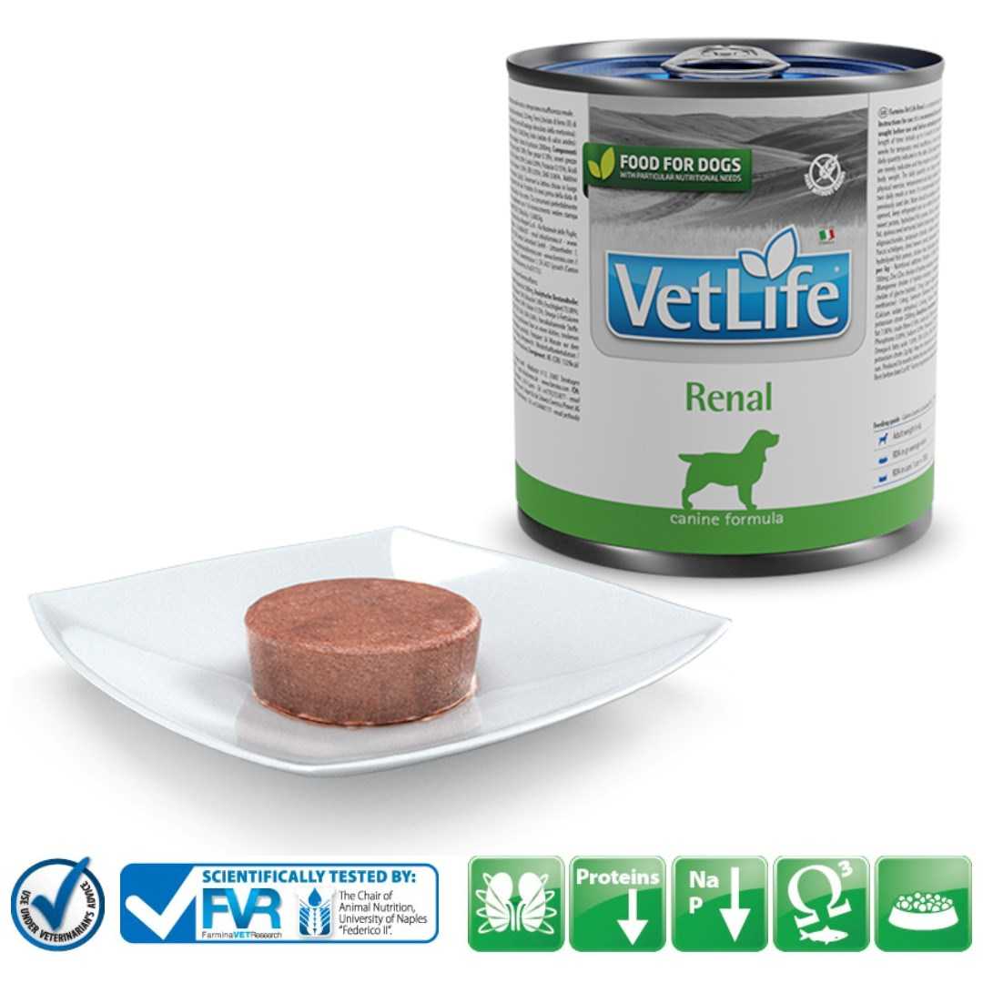 Farmina Vet Life Canine Renal – wet dog food – 300 g