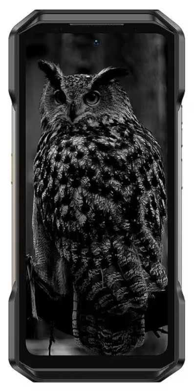 Ulefone Armor 27 12/256GB Black (Without charger)