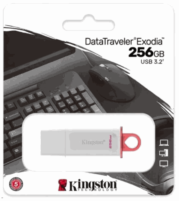 KINGSTON 256GB Exodia USB 3.2 White