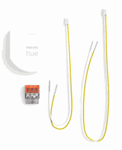PHILIPS Wall switch in Hue (929003017101)