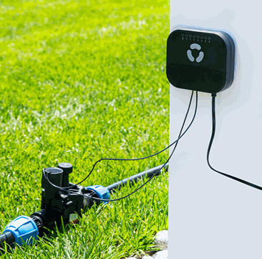 Shelly PbS FrankEver Sprinkler Controller WLAN