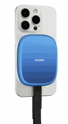 SANDISK External SSD SDSSDE62C-1T00-G25 / Creator
