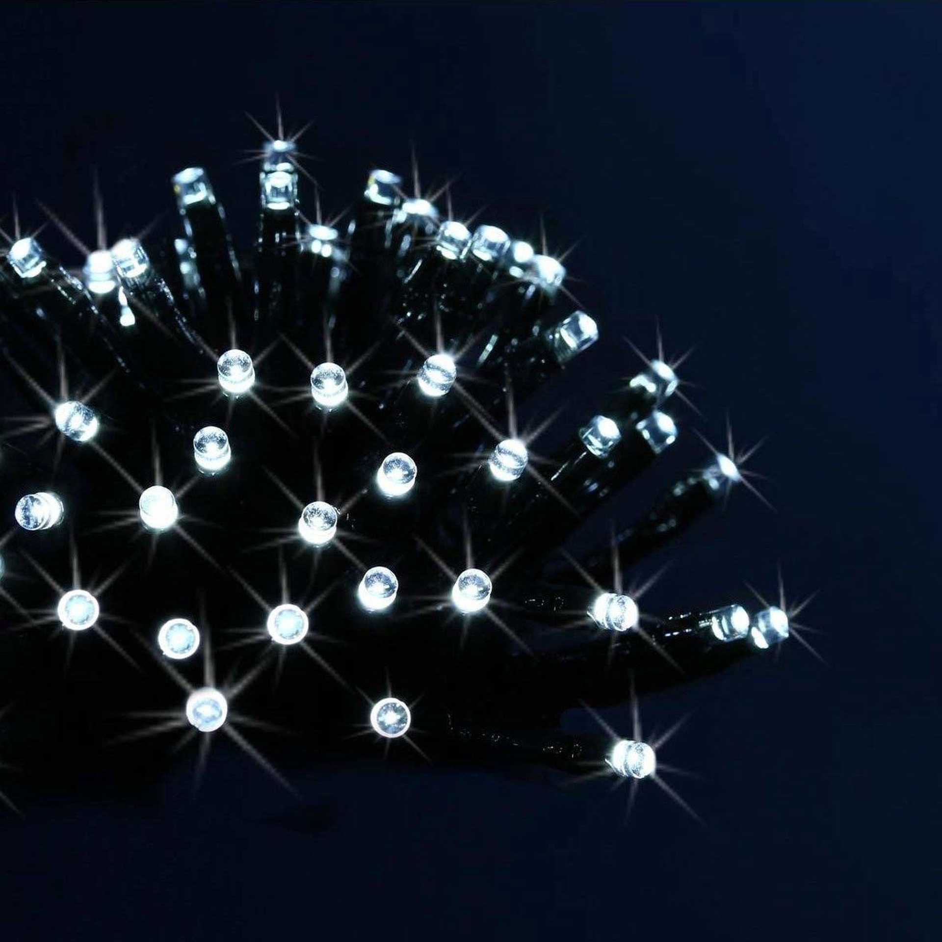 Fééric Lights and Christmas 14071920 48 LED 3.5m