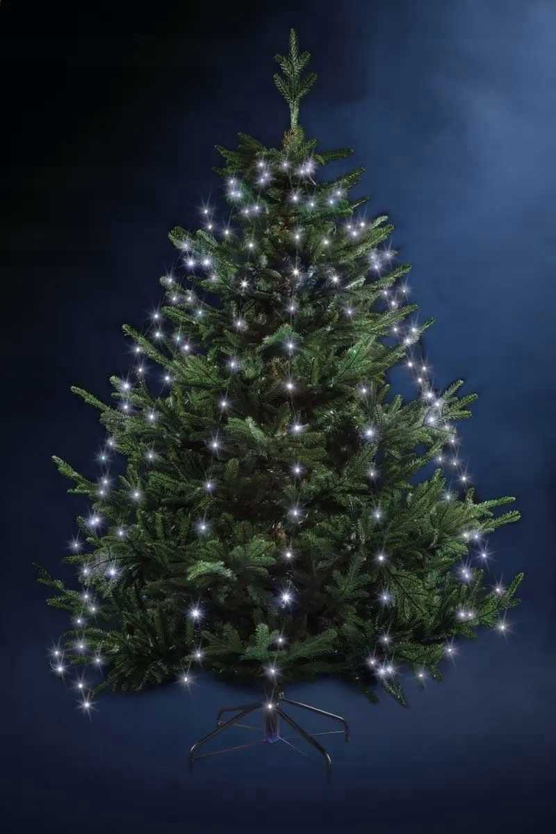 Fééric Lights and Christmas 14185577 170 LED 1.65m
