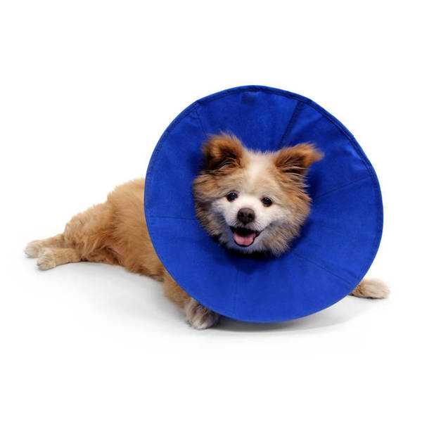 KVP Post-operative collar for dogs and cats EZ Soft blue 14-31 cm S