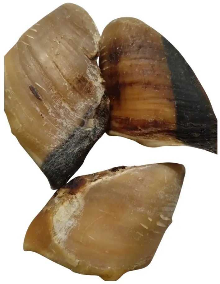 Grizy Bruises, Cow's Hoof, 200 g