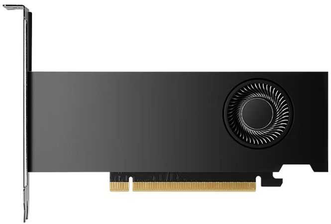 NVIDIA Quadro RTX 2000 ADA FH 16GB GDDR6 Bulk