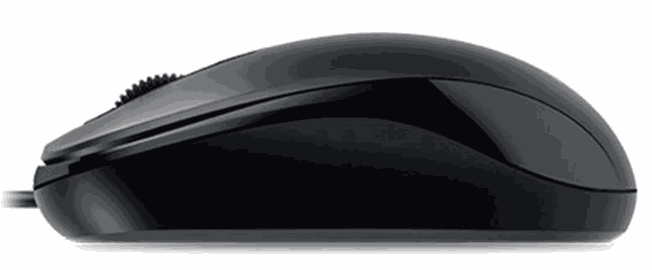 Genius DX-110 USB-C Black