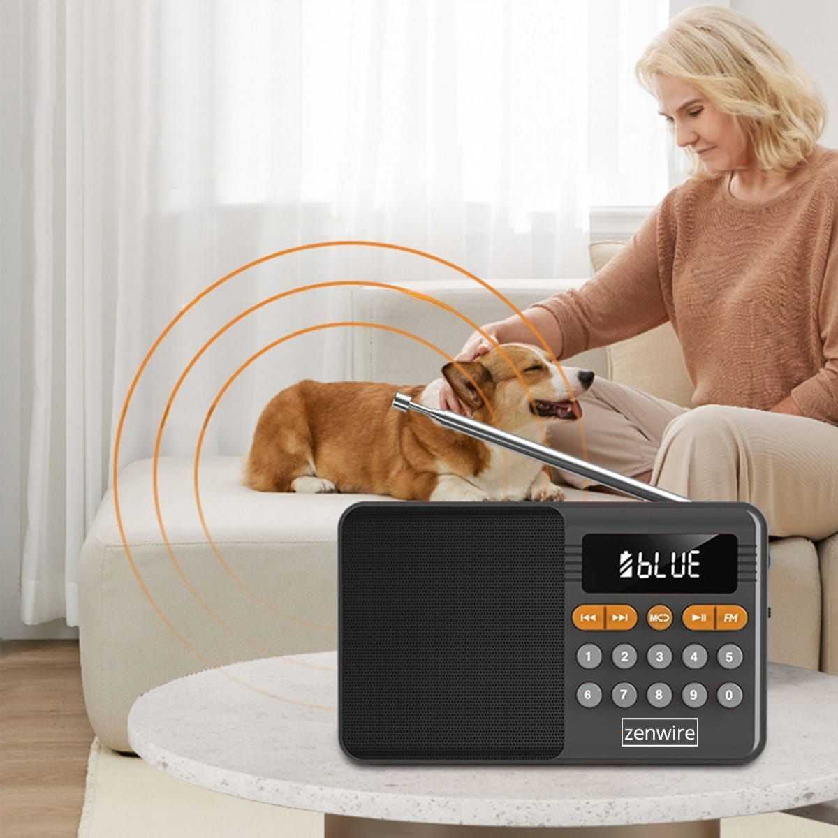 zenwire YSF-005BT