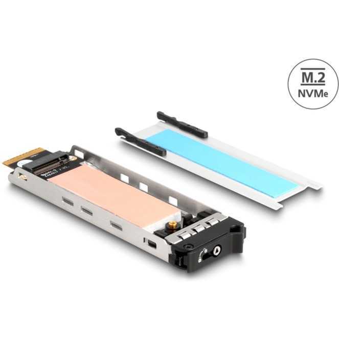 Delock M.2 NVMe SSD bay