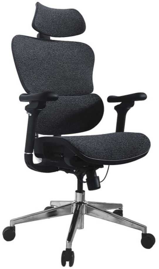 Equip Ergonomic office chair + head/armrests