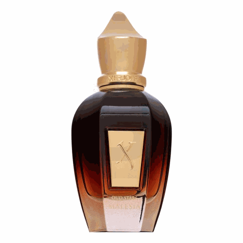 XERJOFF _6919679 Oud Stars Malesia unisex perfume water 50 ml