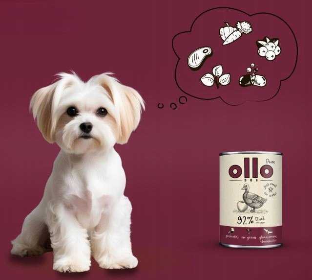 OLLO Pure Duck with apple - wet dog food - 850g