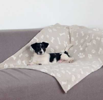 Trixie Kenny blanket, 100x150 cm, beige