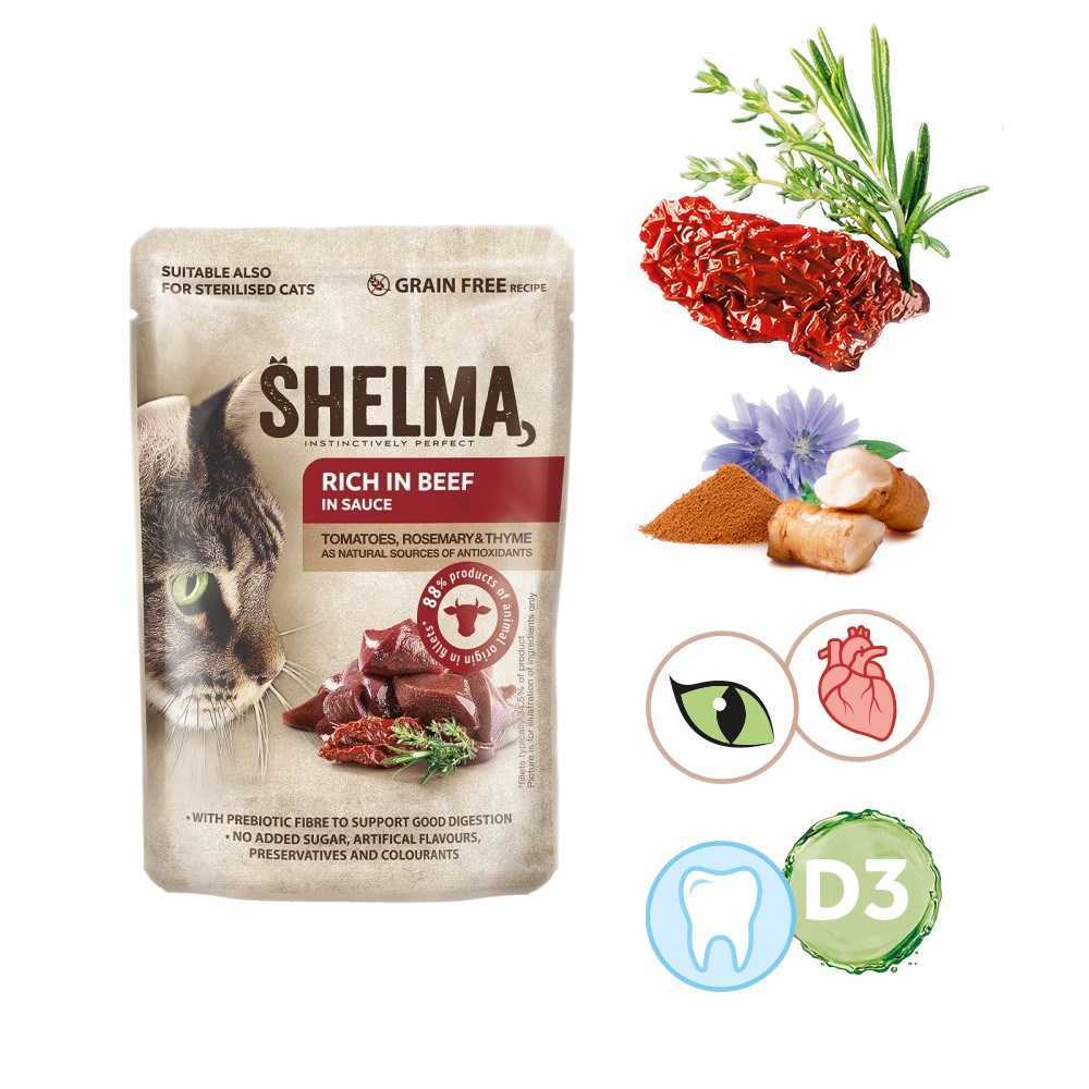 SHELMA Rich in beef in sauce - wet cat food - 85g